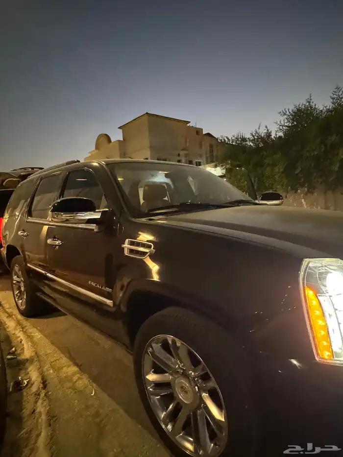 CADILLAC ESCALADE PLATINUM 27