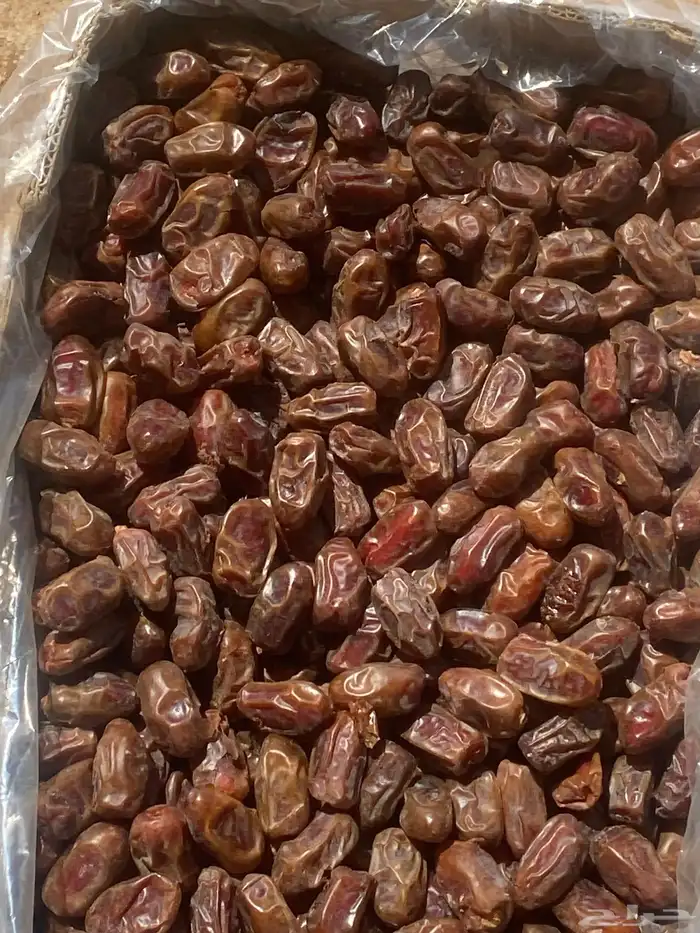 تمر سري انتاج هذا العام 1447 الافلاج 0