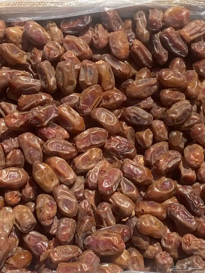 تمر سري انتاج هذا العام 1447 الافلاج 3