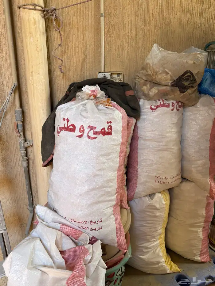 خبز 0