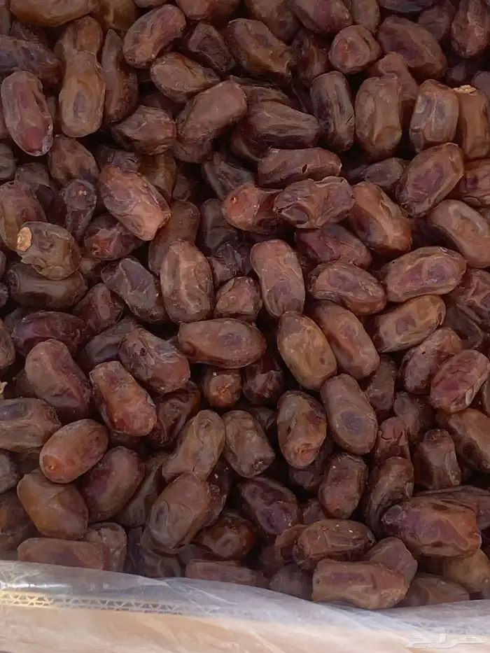 تمر سري انتاج هذا العام 1447 الافلاج 2