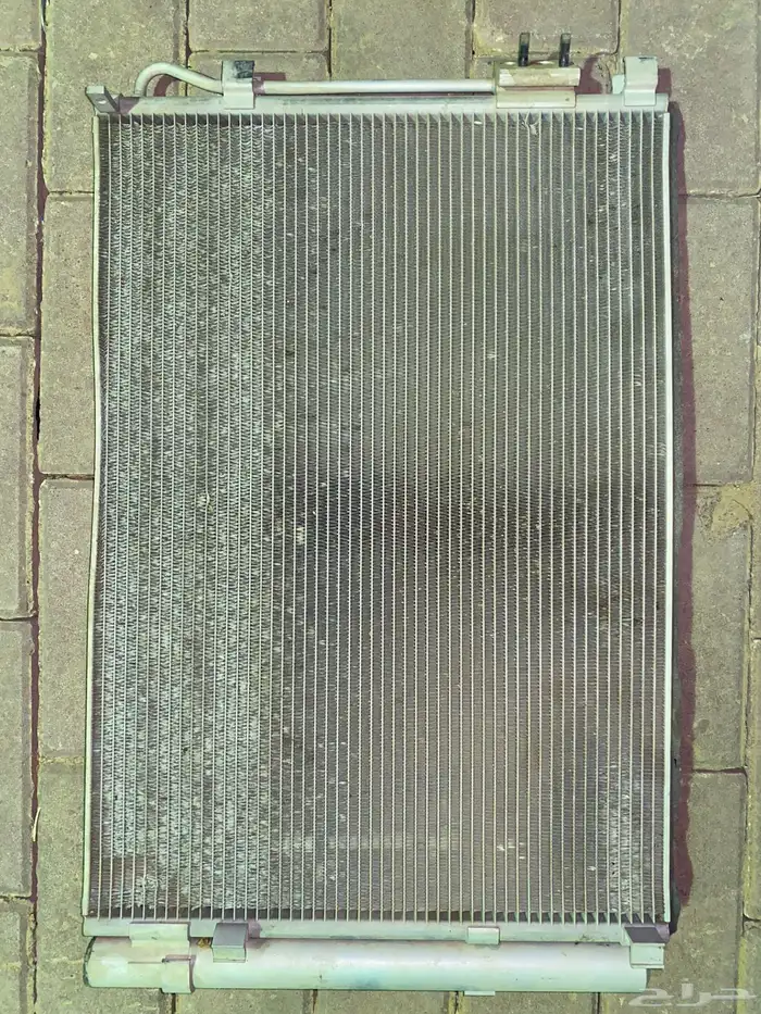 لديتر اكسنت 1