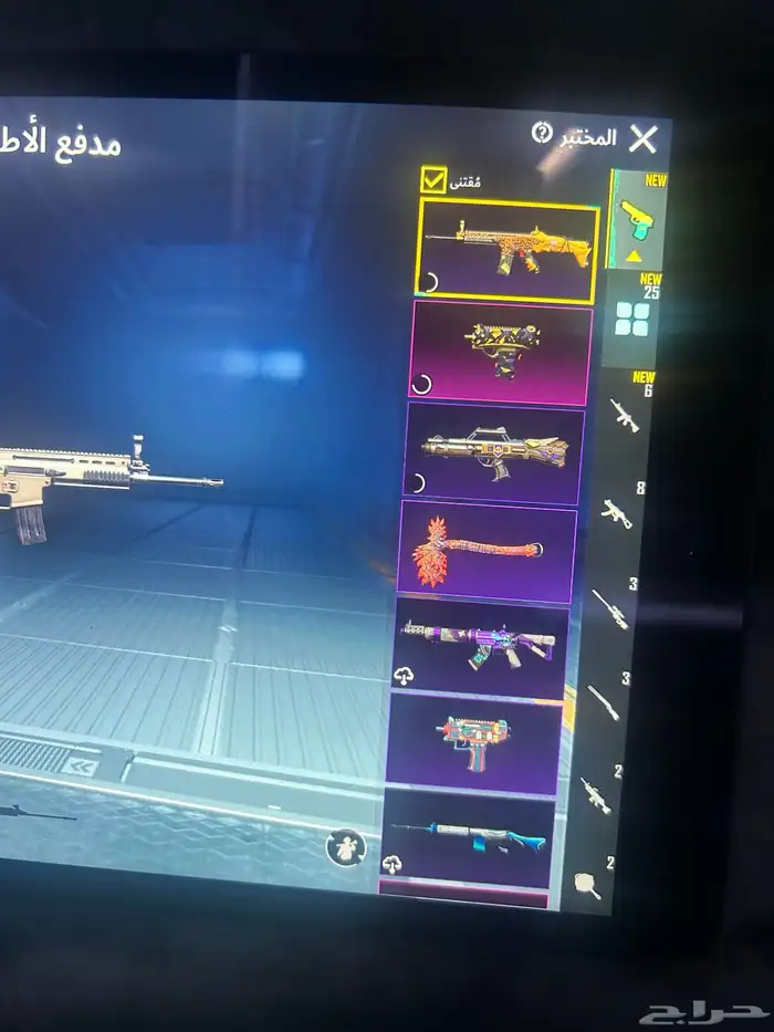 حساب ببجي للبيت 13