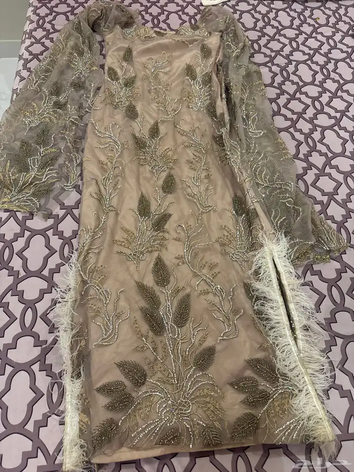 فستاني 0