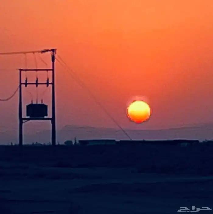 دينا ايسوزو 96 3