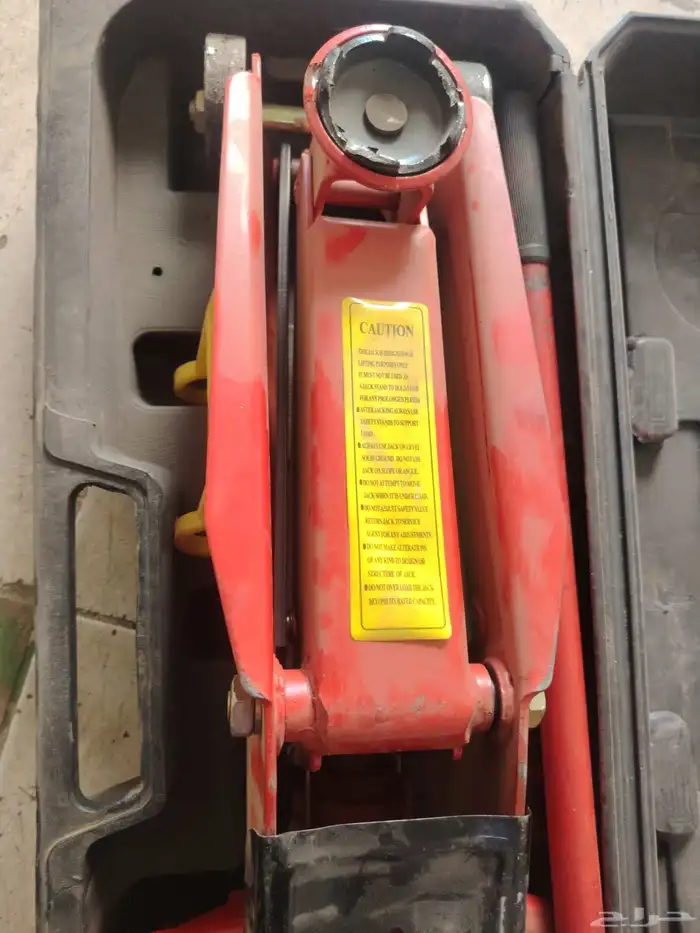 عفريته تمساح للبيع ألماني 1