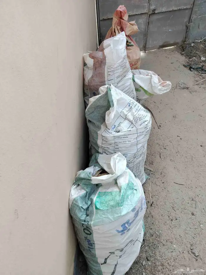 خبز علاف 0