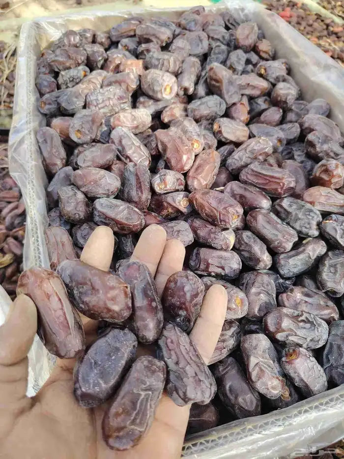 خضري 1