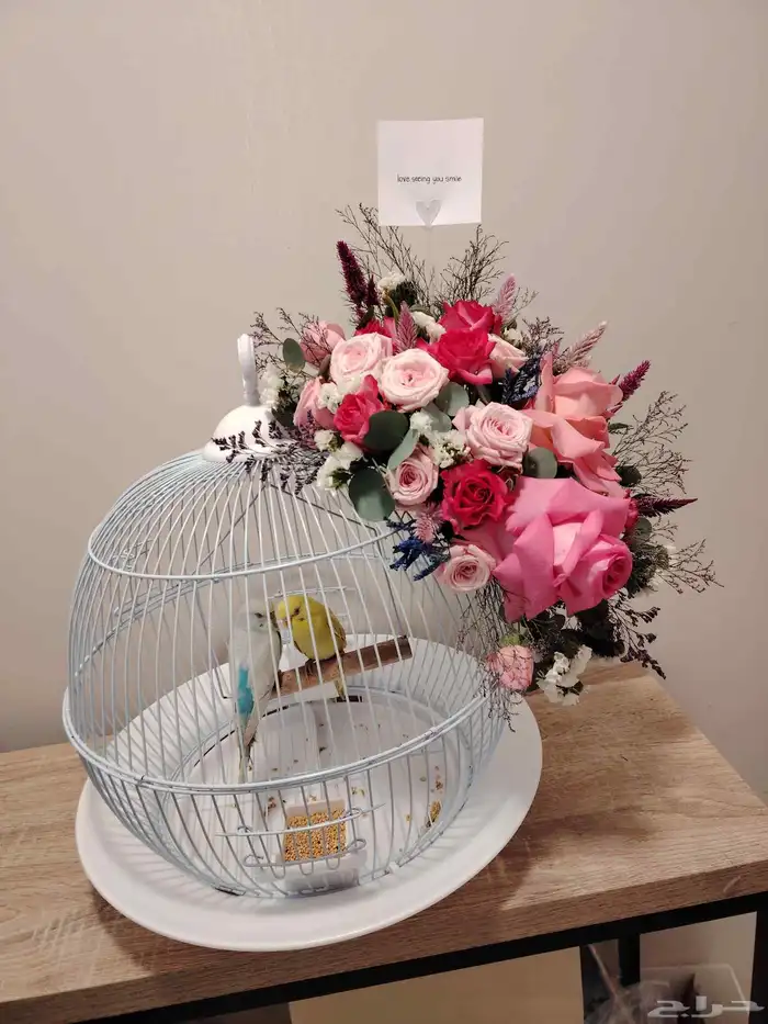 سلاسل واساور وخواتم نسائيه ونظارات ماركه عرض خاص 9