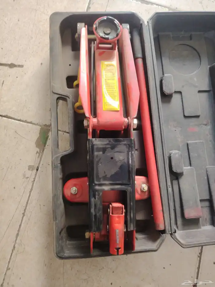 عفريته تمساح للبيع ألماني 0