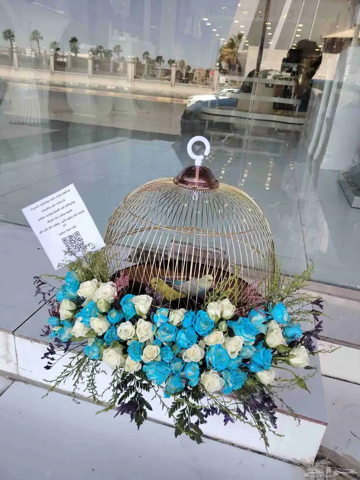 سلاسل واساور وخواتم نسائيه ونظارات ماركه عرض خاص 8