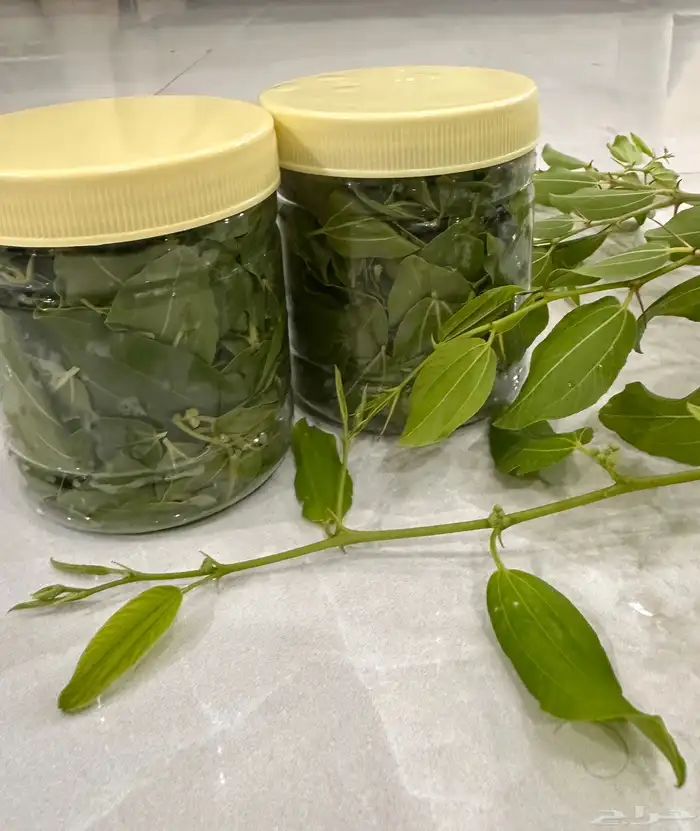 اوفر سدر اخضر ومطحون 1