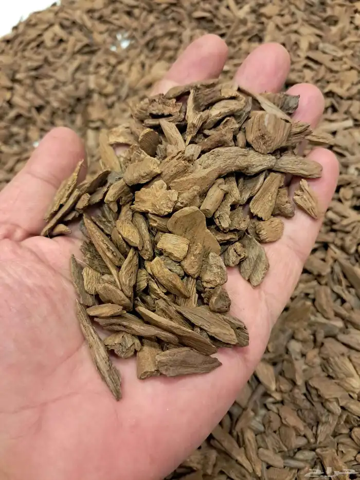 عود بخور مروكي اصقوني طبيعي جدا بسعر مغري 5