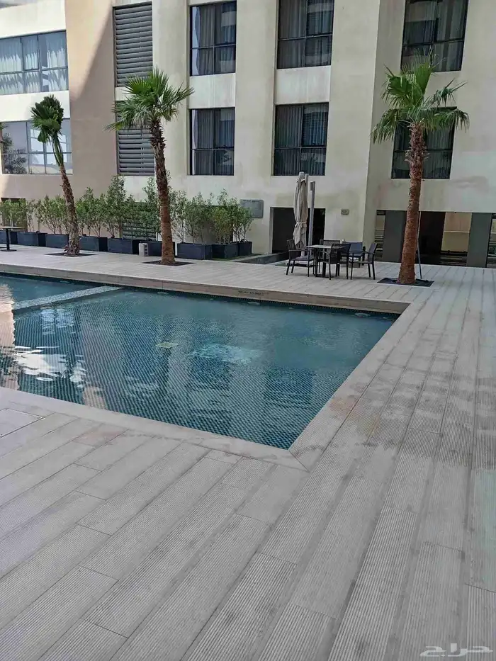 ابوياسين لبيع جميع انواع النخيل البلدي والواشنطن والفسيل 1