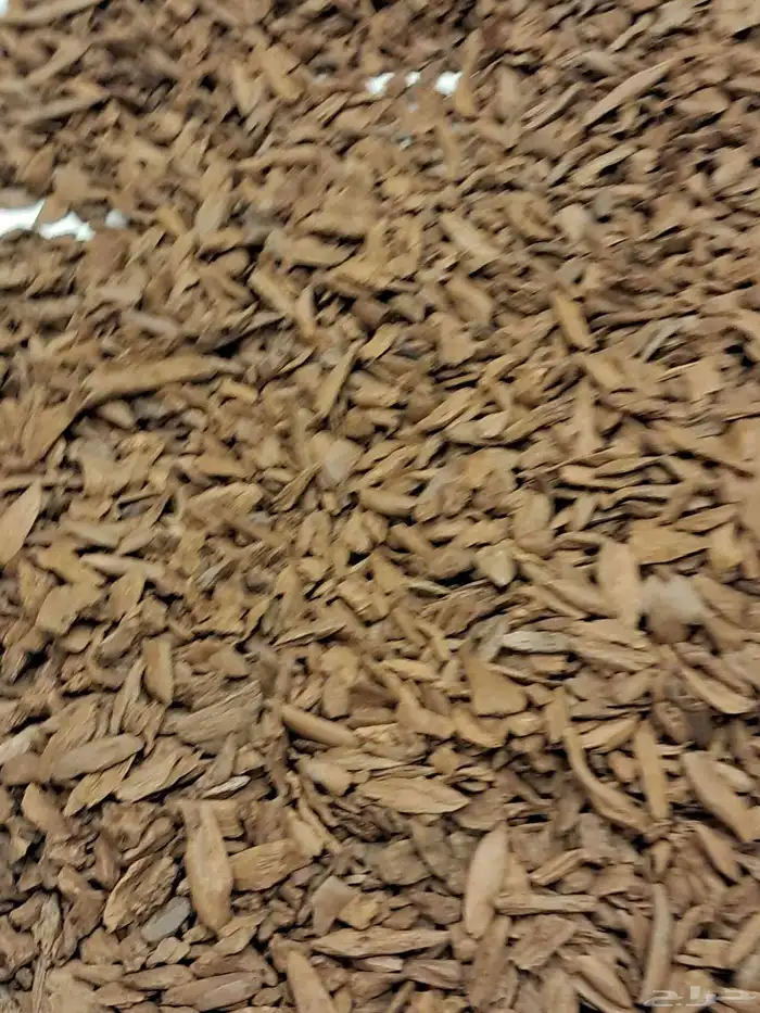 عود بخور مروكي اصقوني طبيعي جدا بسعر مغري 4