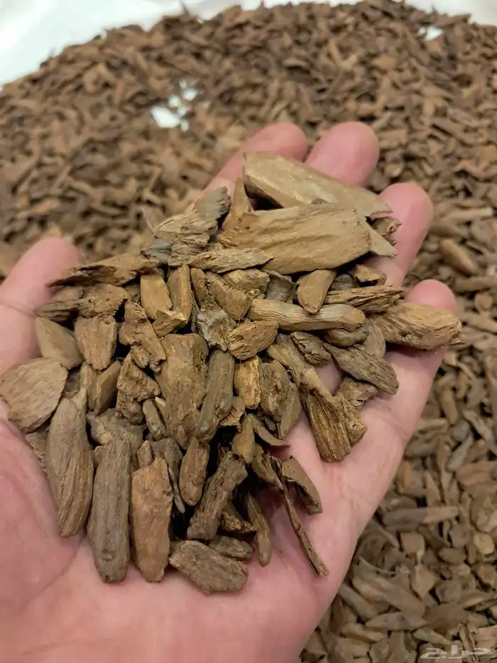 عود بخور مروكي اصقوني طبيعي جدا بسعر مغري 6