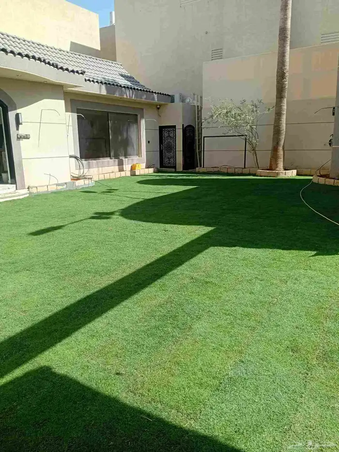 ثيل طبيعي سي الفين (C2000) صافي ونقي على الشرط شكل جمالي وخض 3