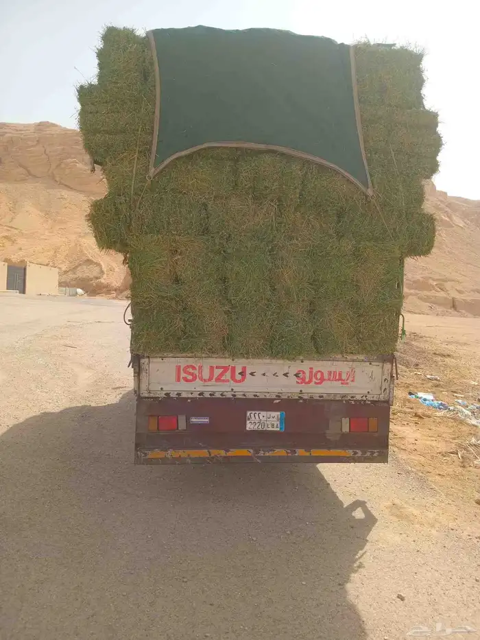 الرياض. برسيم. القسيم. طيب. مره. العدد. 250. واصب. اي. مكان 1