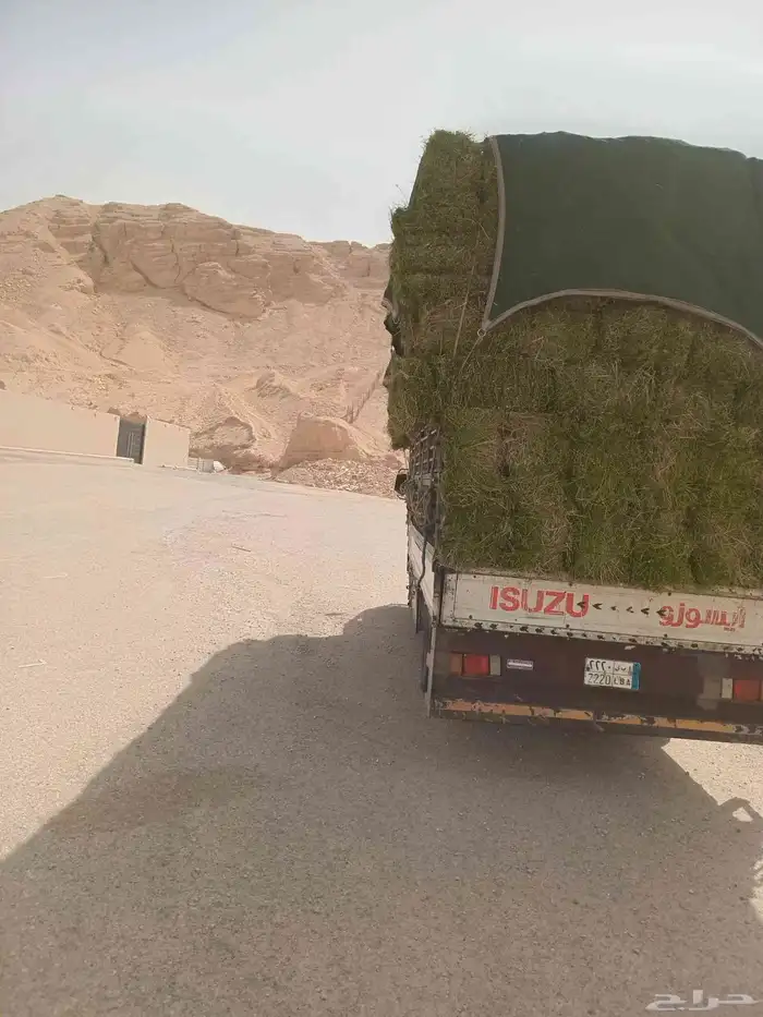 الرياض. برسيم. القسيم. طيب. مره. العدد. 250. واصب. اي. مكان 0