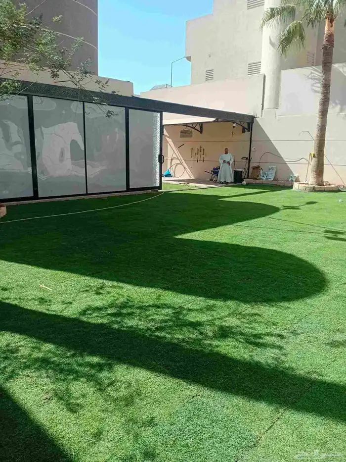 ثيل طبيعي سي الفين (C2000) صافي ونقي على الشرط شكل جمالي وخض 2