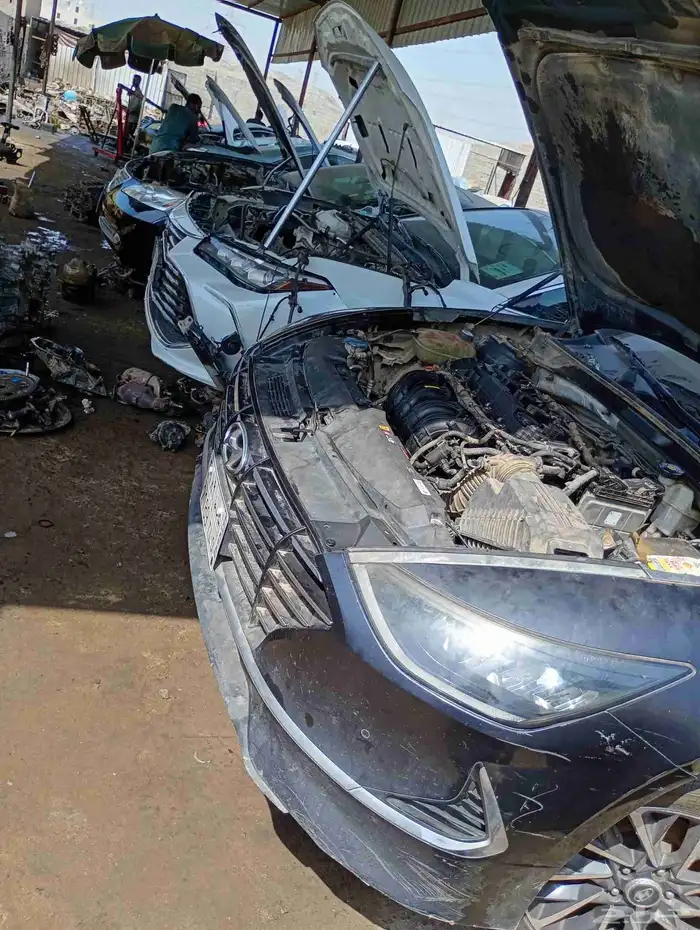 مكاين كيا اوبتيما كي 5 سبورتاج موهافي ريو سيراتو مستورده 4