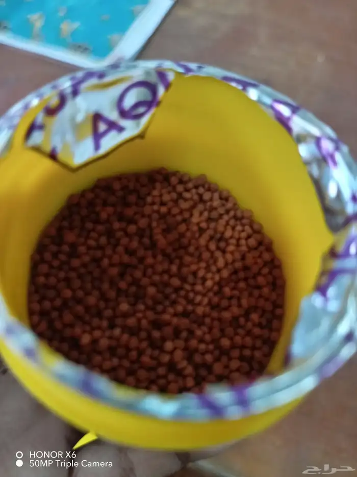 للبيع موتور حوض سمك ماكل سمك 3