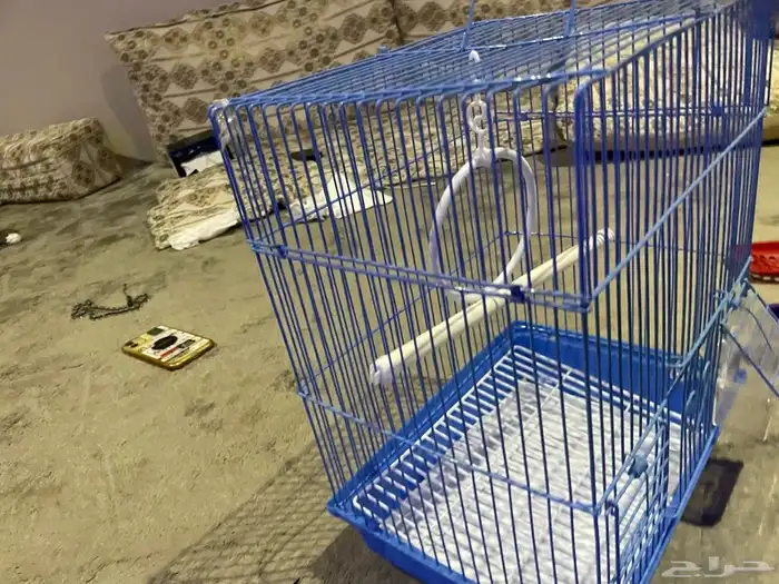 مستلزمات قطط ا 8
