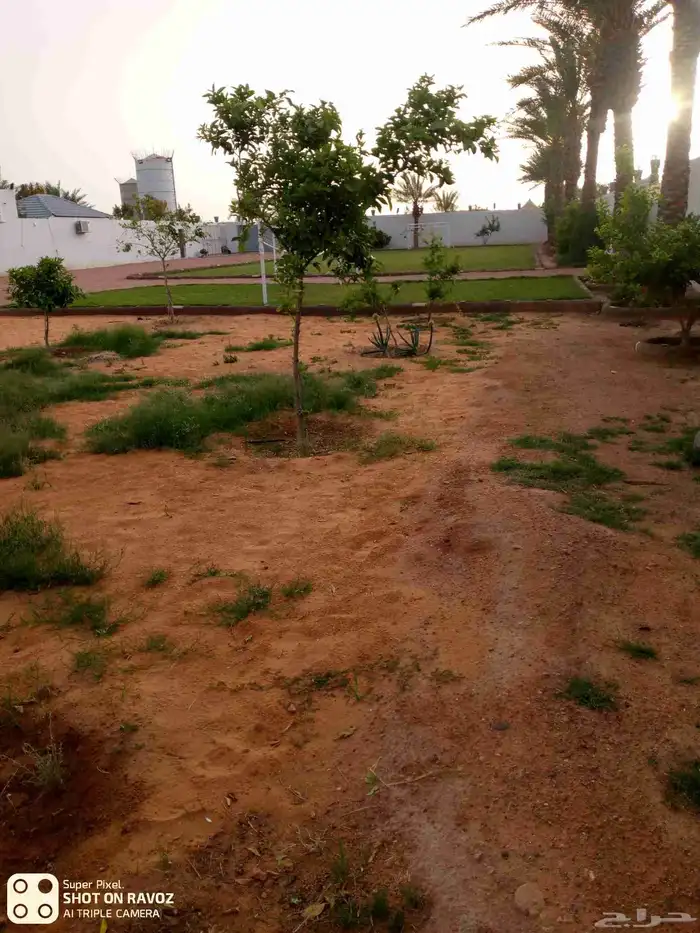 تكريب وقلع وغرس النخل والاشجار وكل شيء يخص الزراعه 2