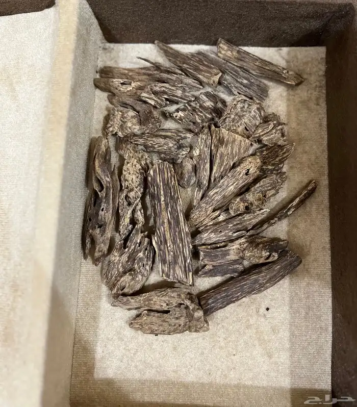 عود كلمنتان مالينو دبل سوبر ثقيل نقوة 10