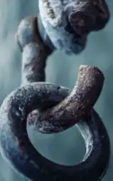 مطلوب دور للاجار مع شقة خلفيه 0