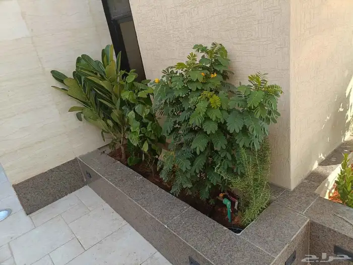 مشاتل مشتل 6
