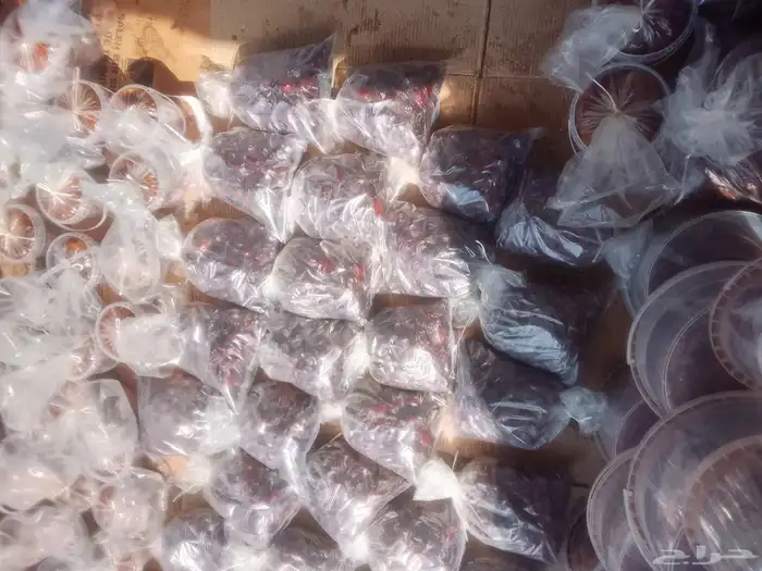 تمور حائل الفاخره 2