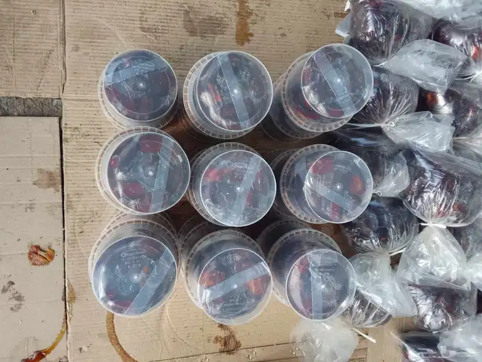 تمور حائل الفاخره 5