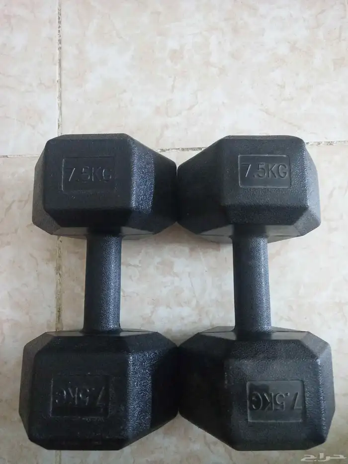 دامبل 0