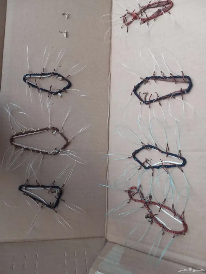 شبك لطرح الصقور 0