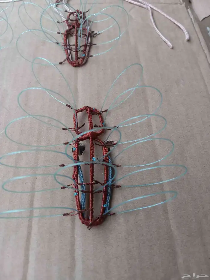 شبك لطرح الصقور 5