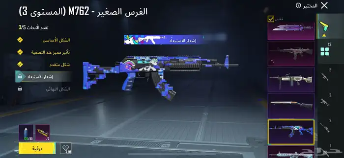 حساب ببجي 24