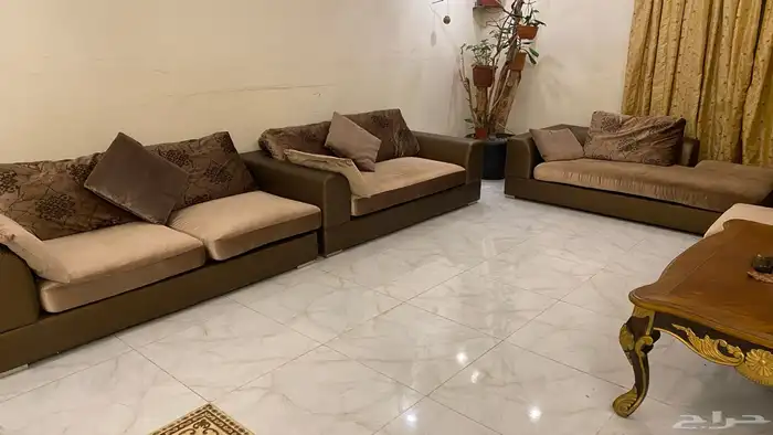 كنبات ميداس مع الطاوله 2