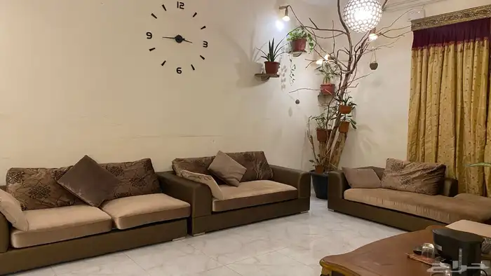 كنبات ميداس مع الطاوله 1
