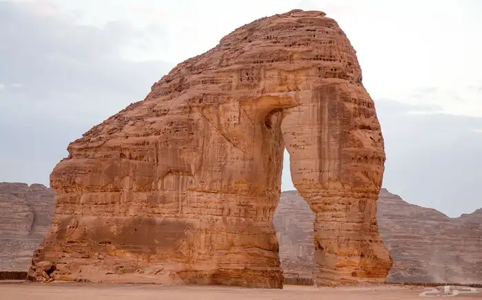 بطاط 0