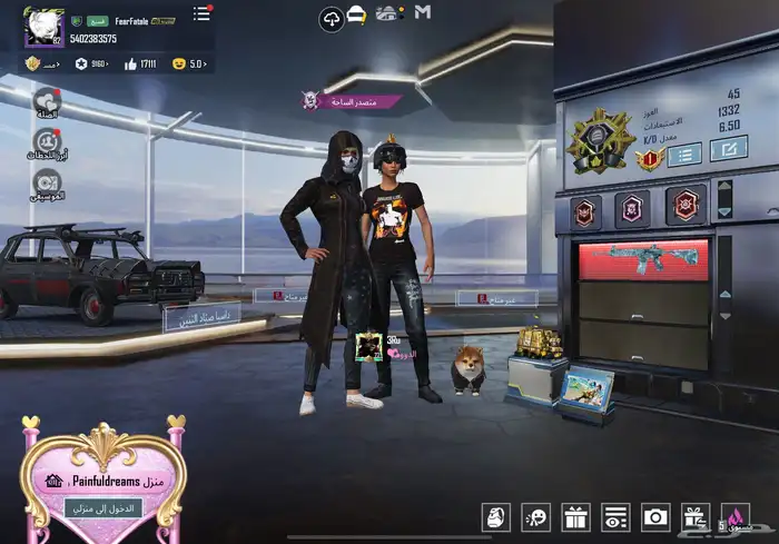 حساب ببجي للبيع 2