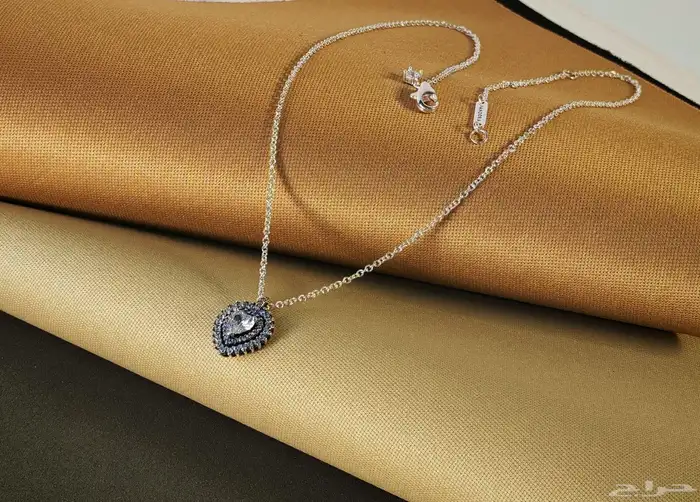 اكسسوارات ماركات هاي كوالتي 46