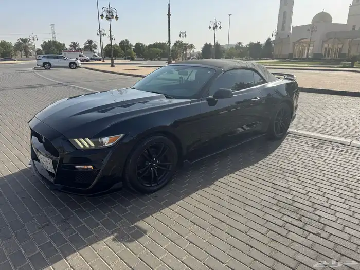 موستنج 2017 كشف 2
