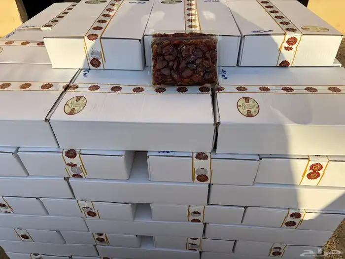 تمر اخلاص فاخر بالدوادمي 2