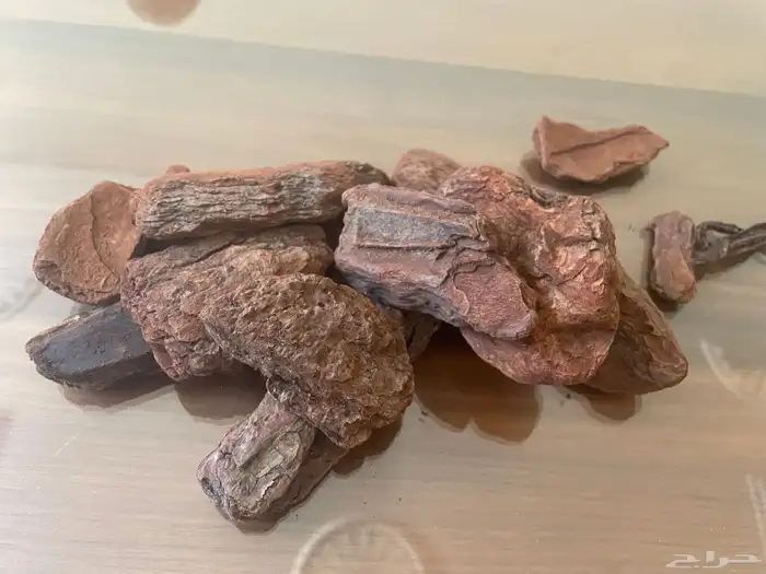 pine bark mulch لحاء الصنوبر الطبيعي 3