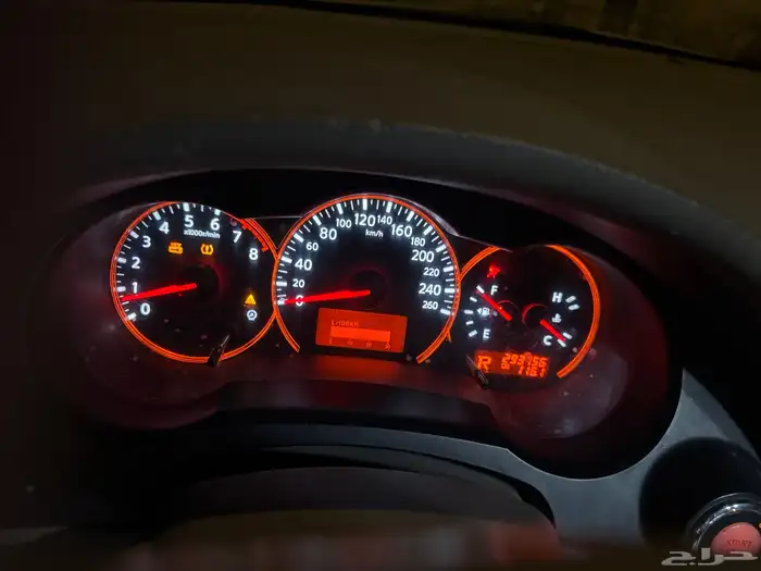 التيما 2009 للبيع 13