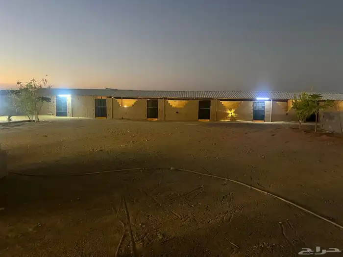 اسطبل للبيع 10