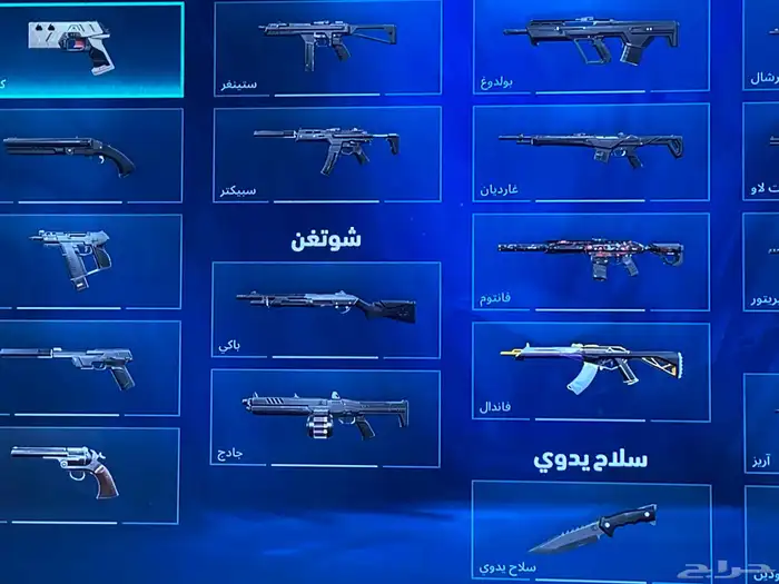 حساب فالورانت سوني 0
