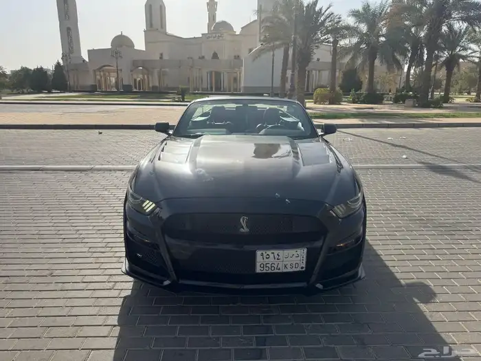 موستنج 2017 كشف 5
