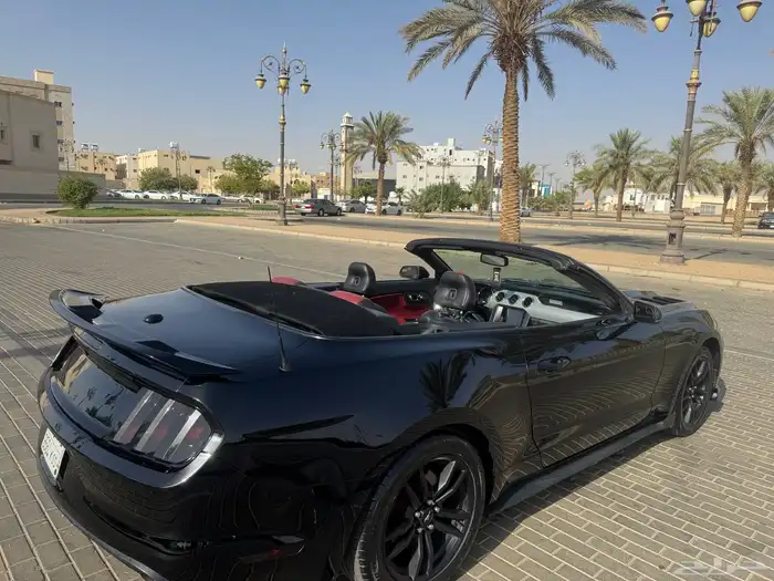 موستنج 2017 كشف 0